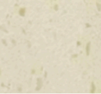 FY5023